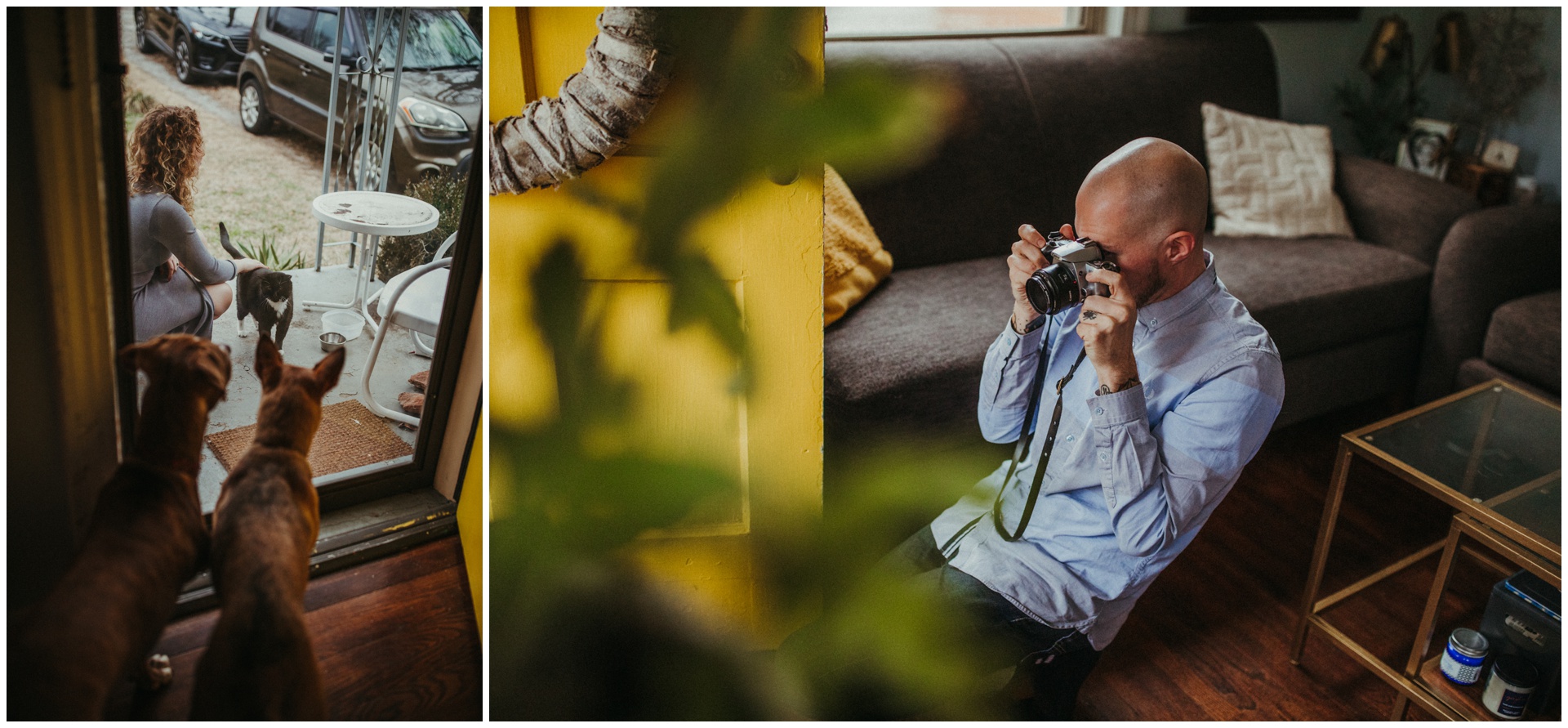 Macwilliams at home with dogs