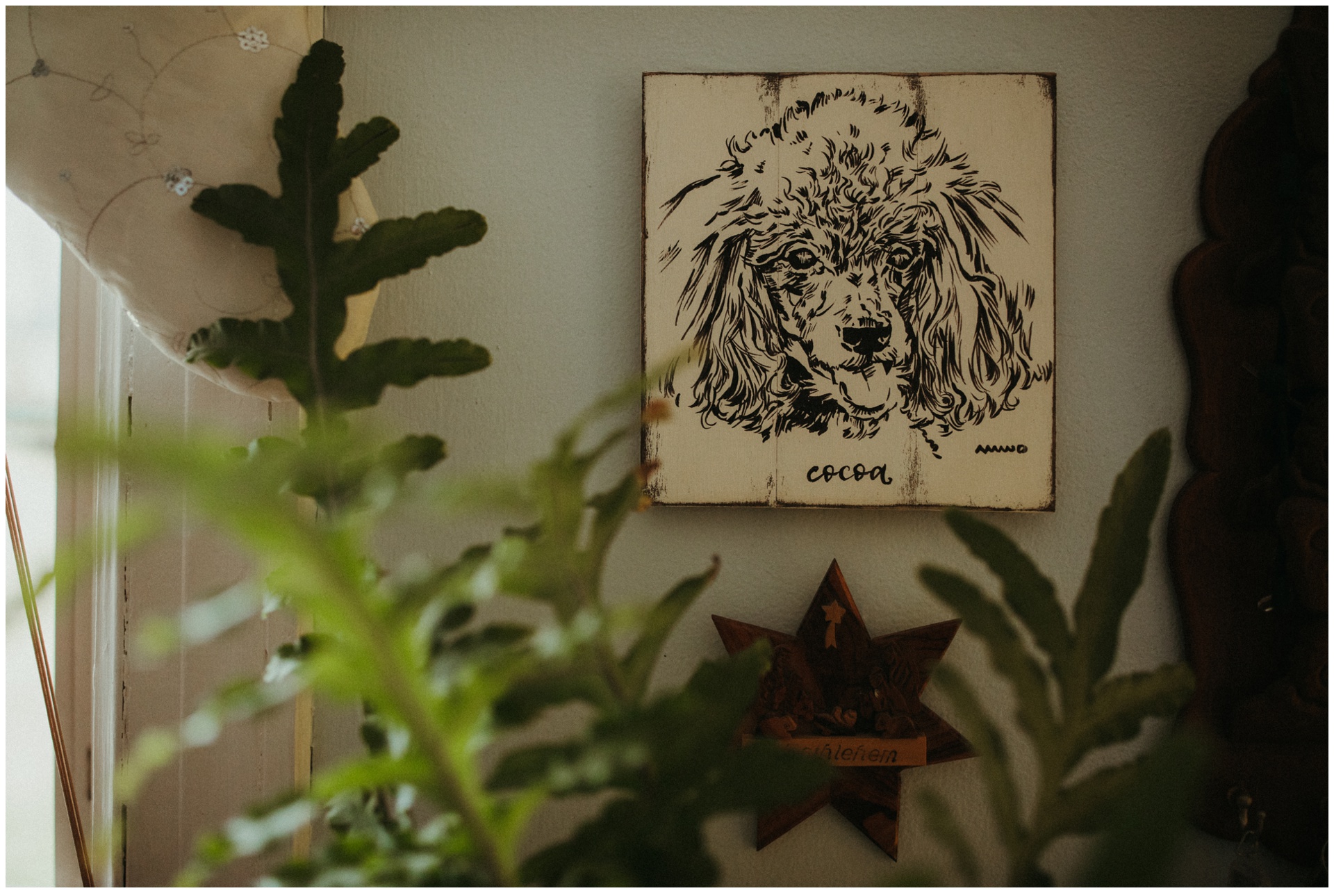 Macwilliams at home with dogs