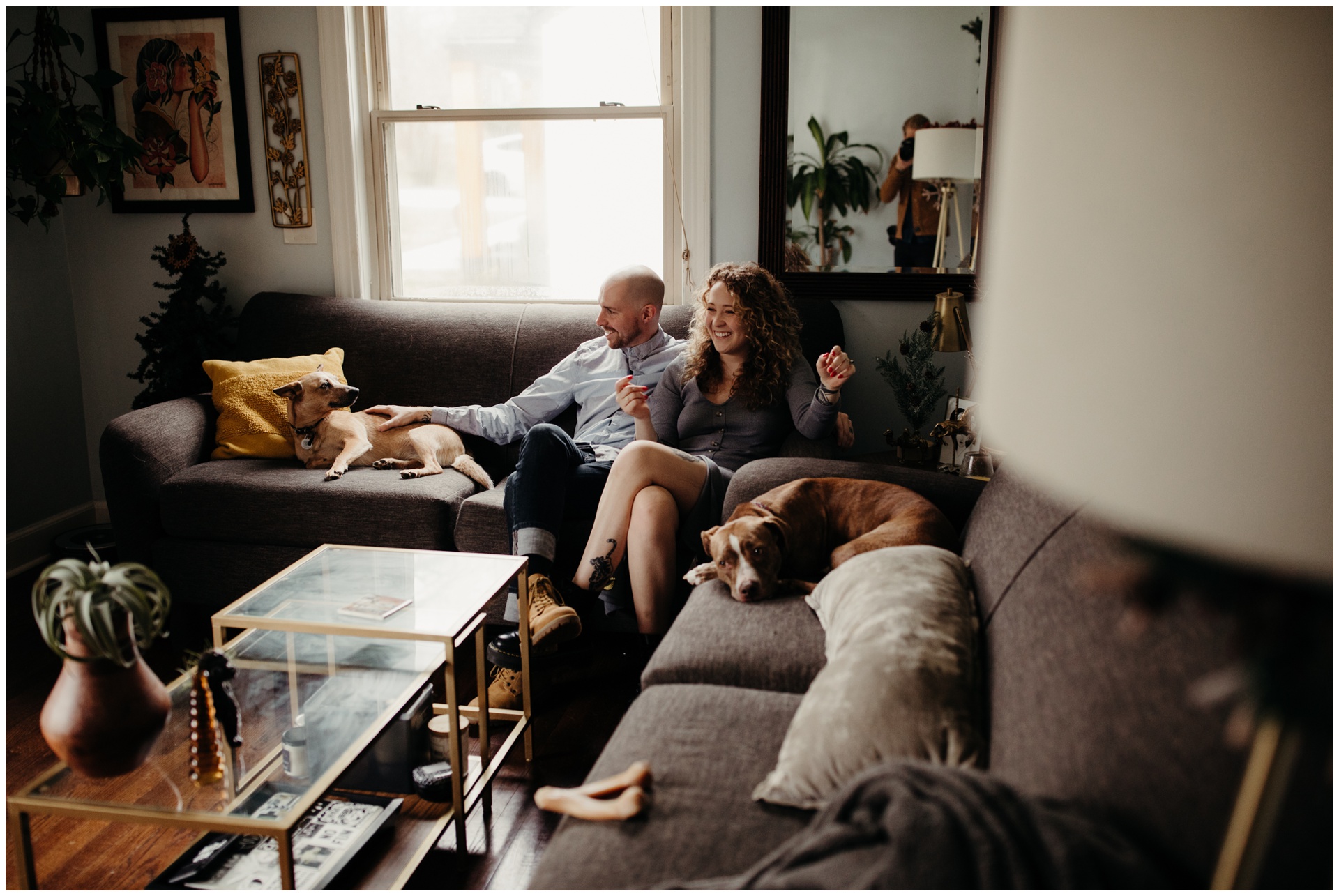 Macwilliams at home with dogs