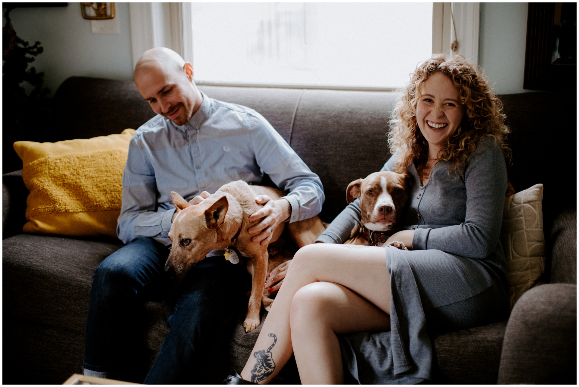 Macwilliams at home with dogs