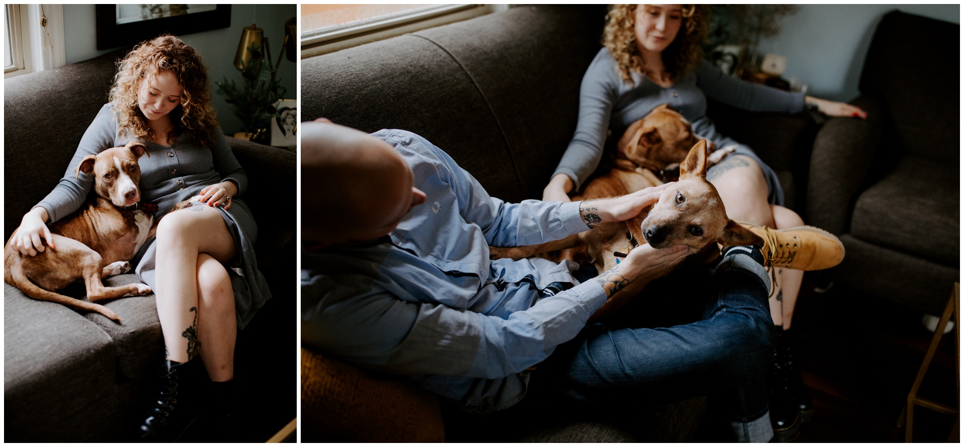 Macwilliams at home with dogs