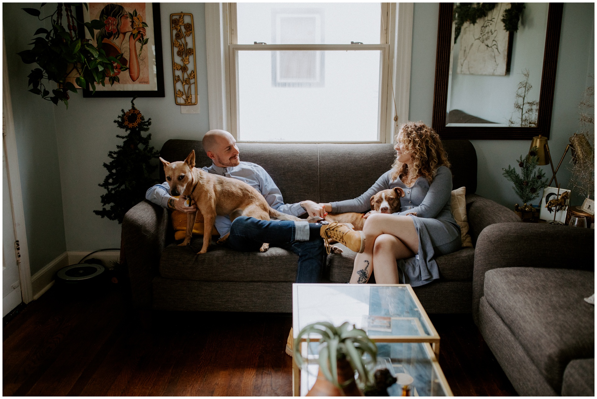 Macwilliams at home with dogs