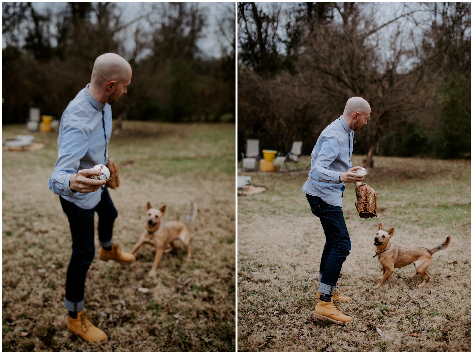 Macwilliams at home with dogs