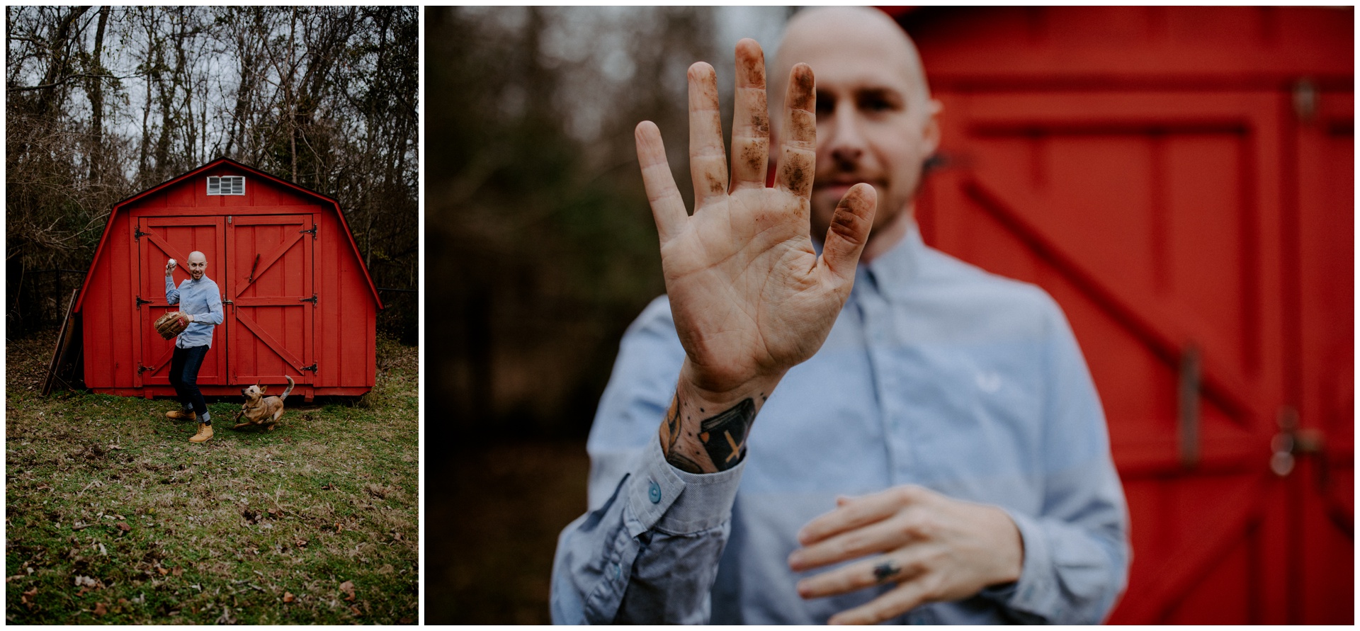 Macwilliams at home with dogs