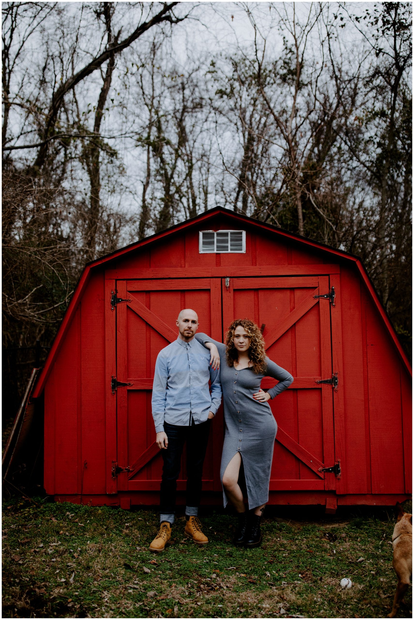 Macwilliams at home with dogs