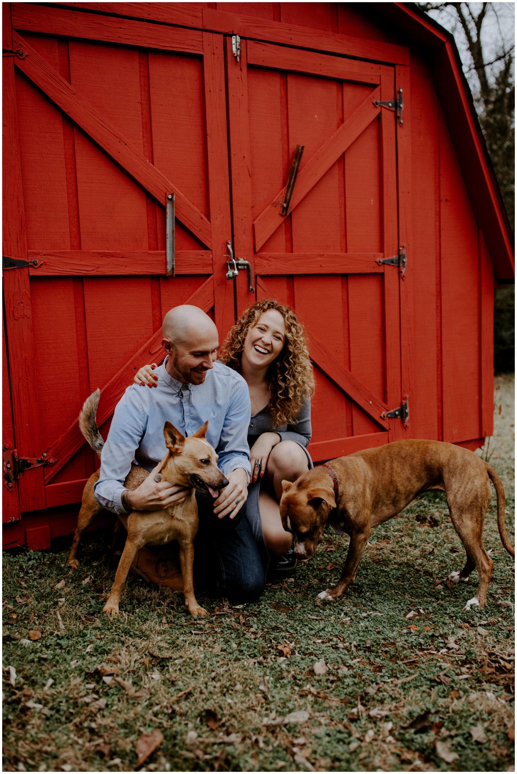 Macwilliams at home with dogs