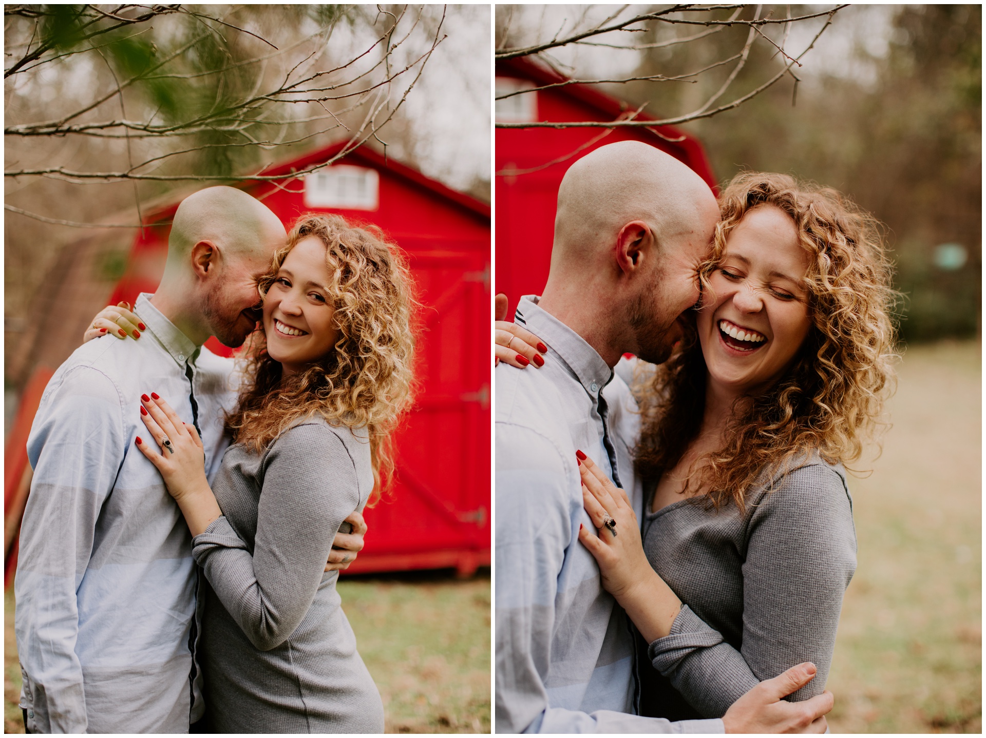 Macwilliams at home with dogs