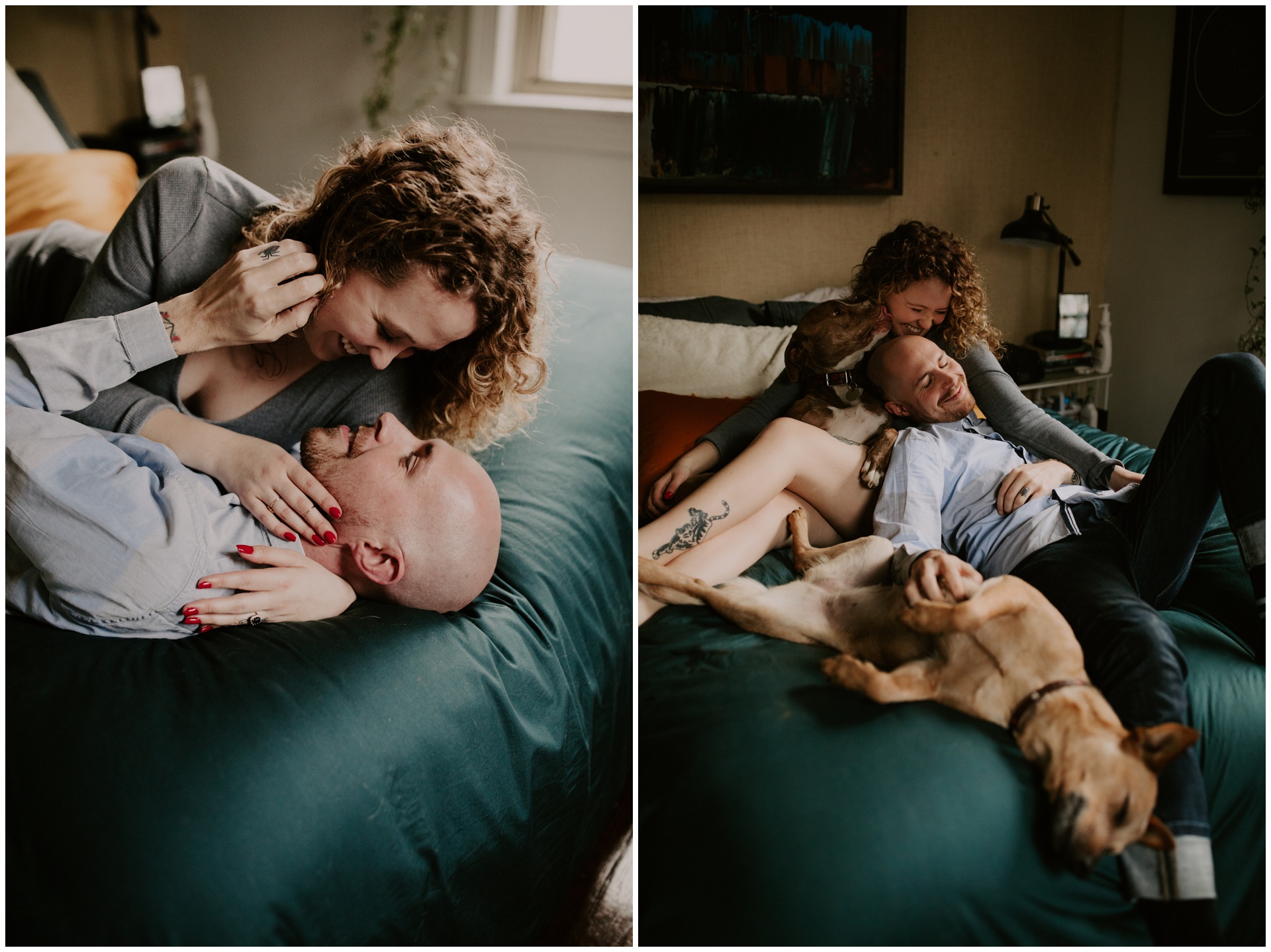 Macwilliams at home with dogs