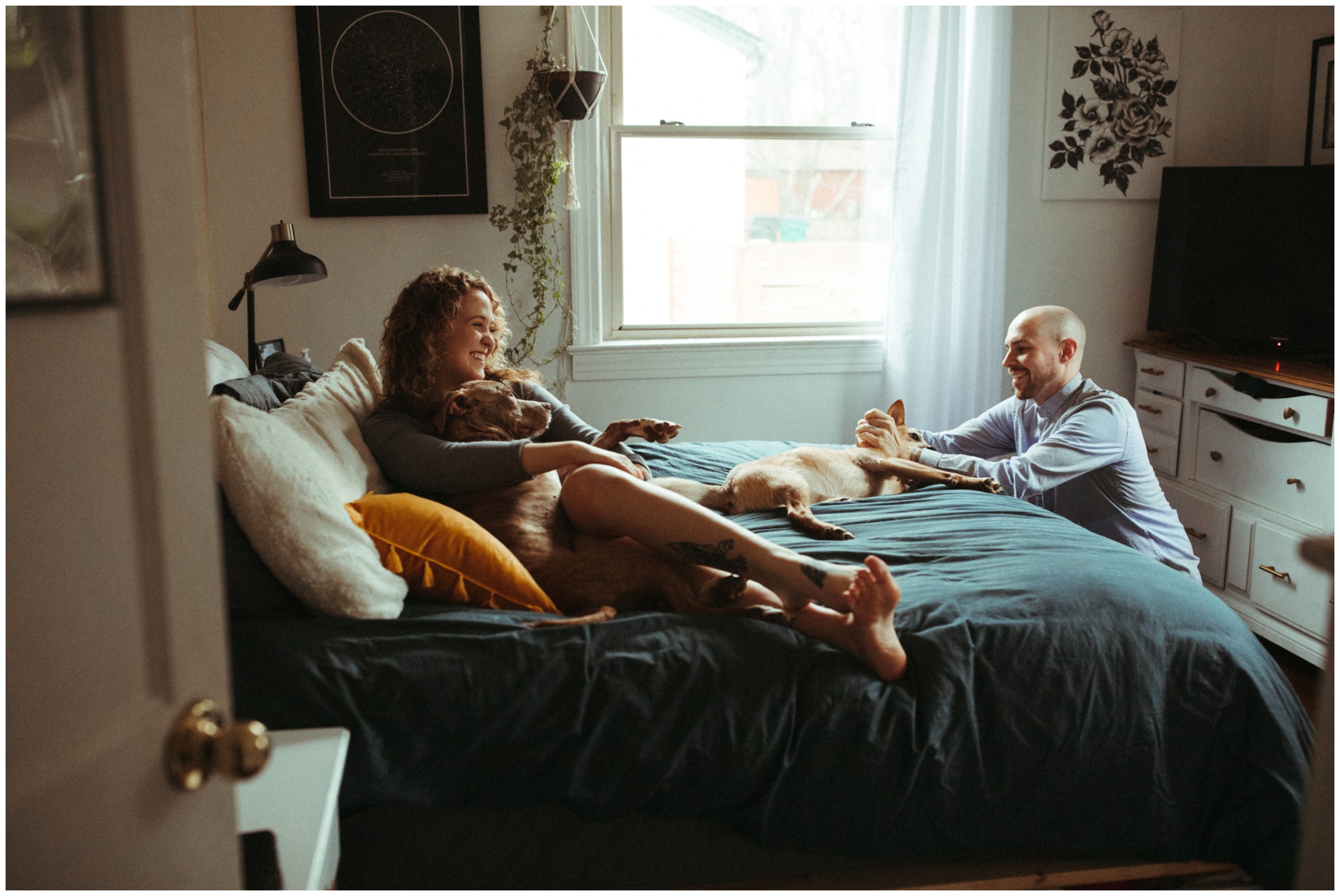 Macwilliams at home with dogs