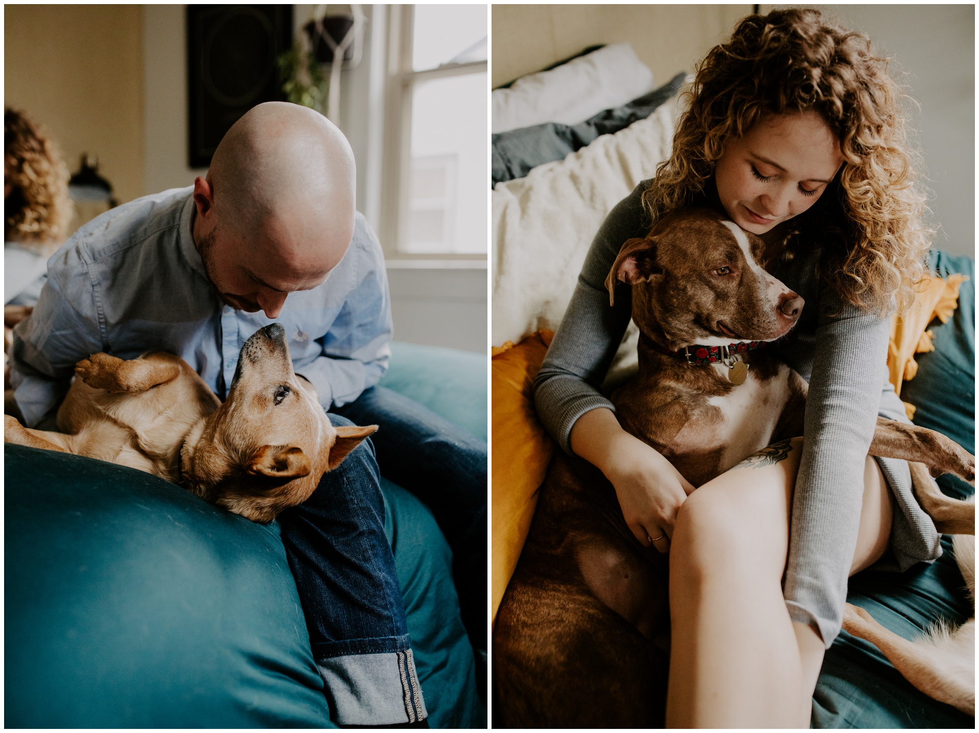 Macwilliams at home with dogs