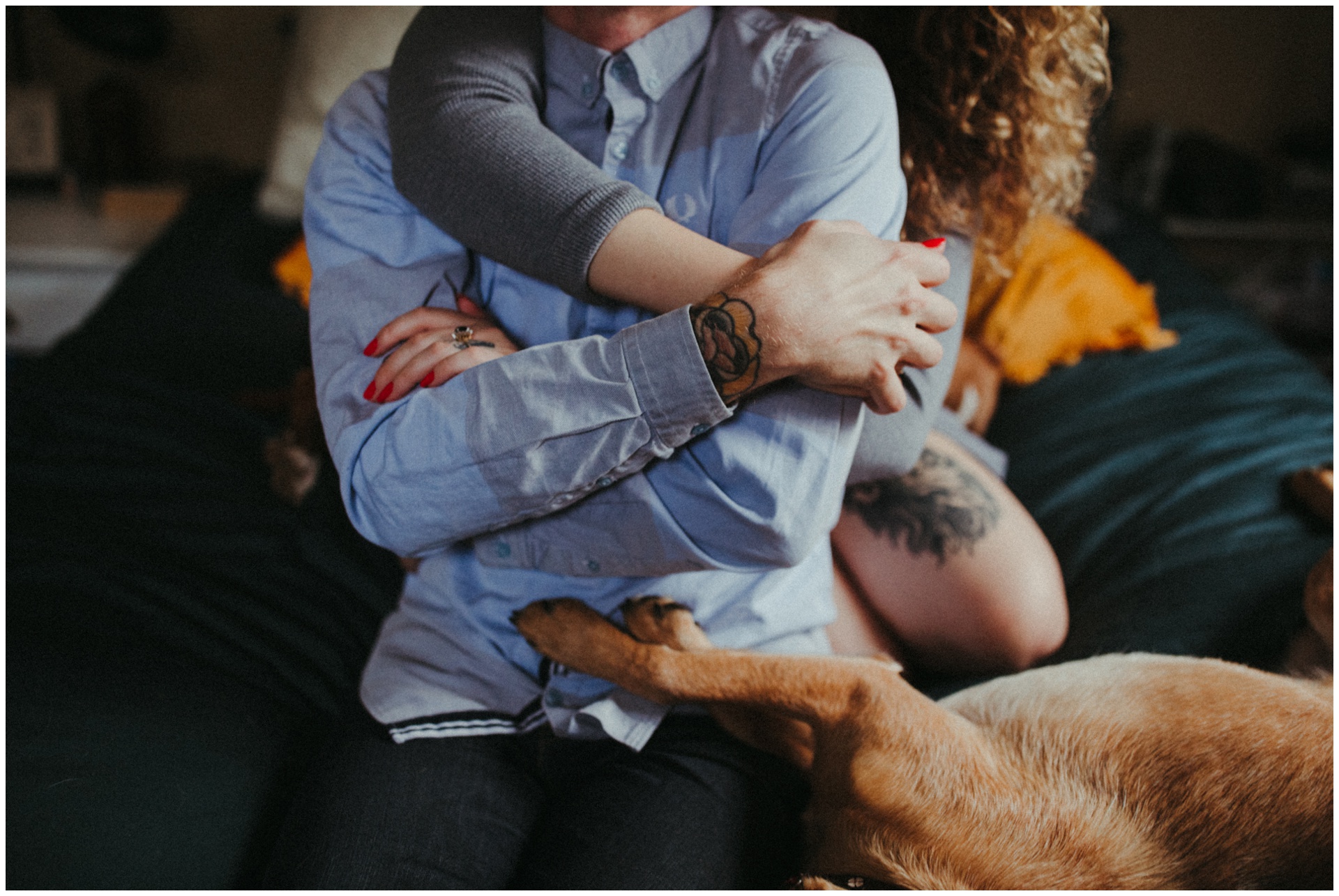 Macwilliams at home with dogs