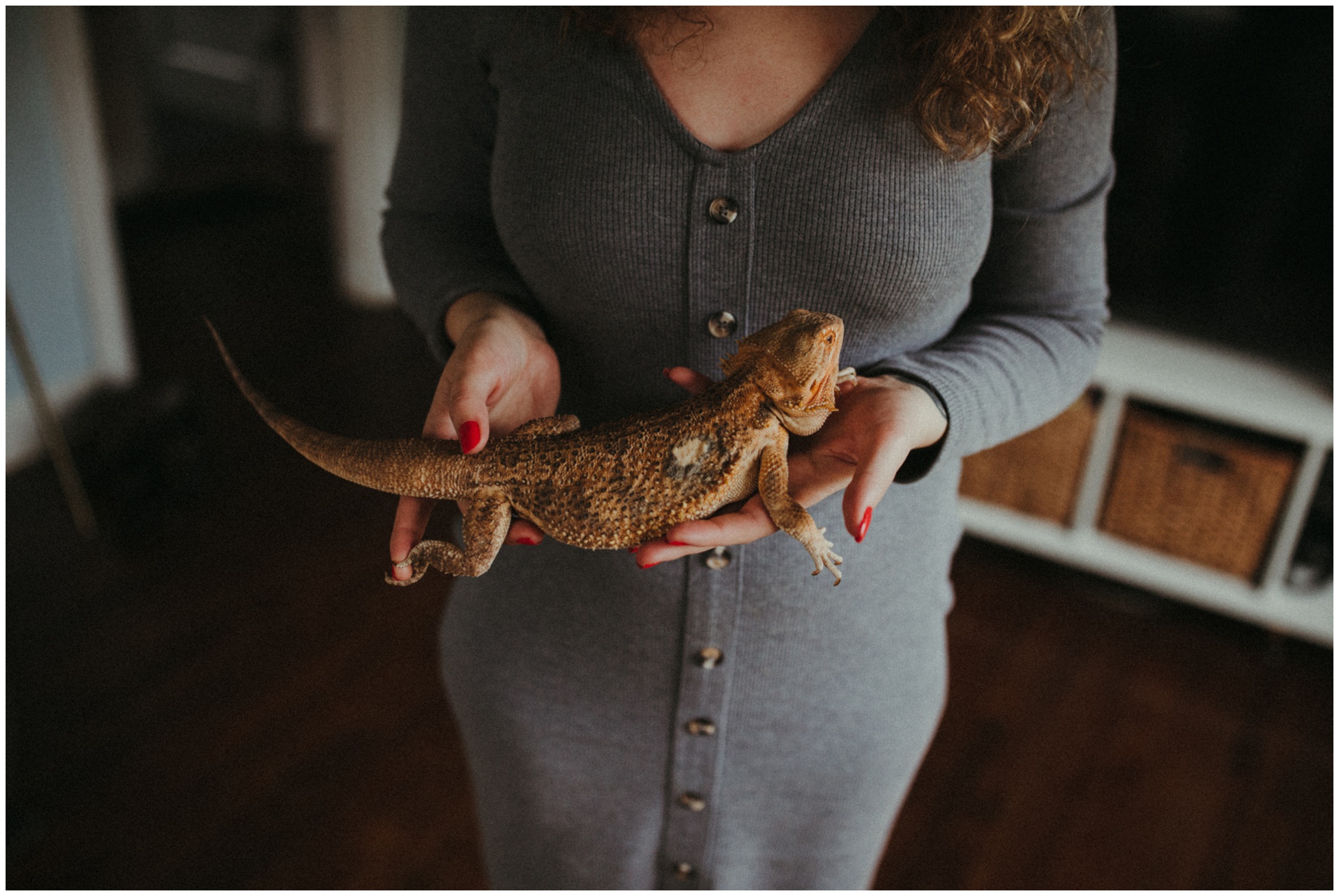 Macwilliams at home with dogs